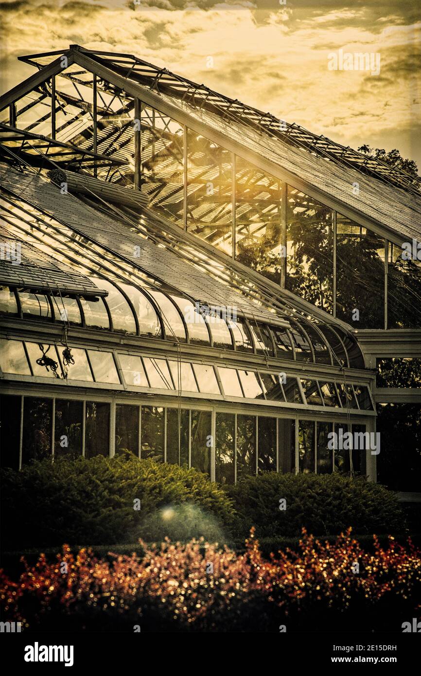 Tropical plants greenhouse in Niagara Falls, Ontario Stock Photo Alamy