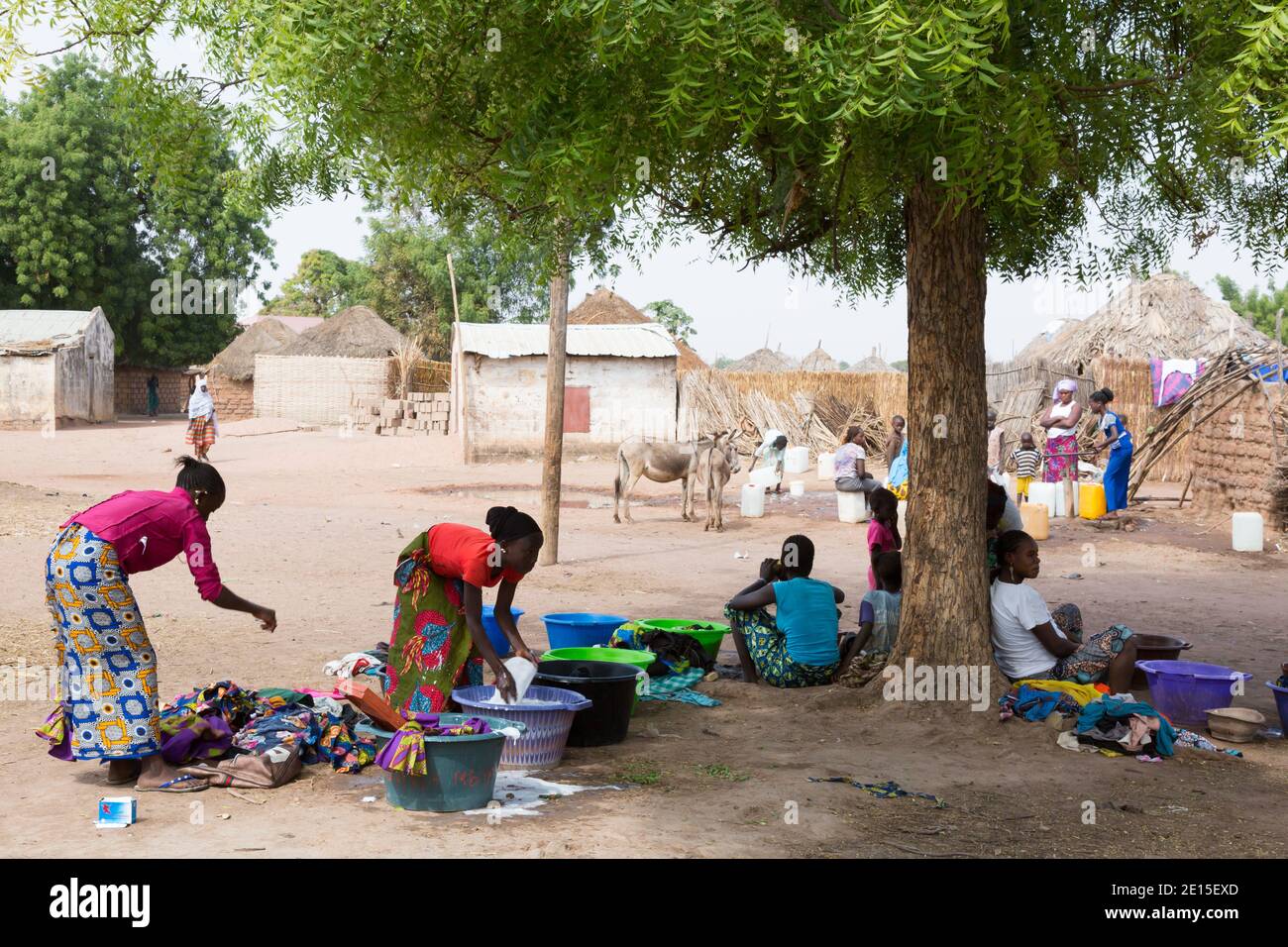 Young women hand washing clothes in the shade of a tree in a traditional Gambian hamlet near Panchang, the Gambia. Stock Photo