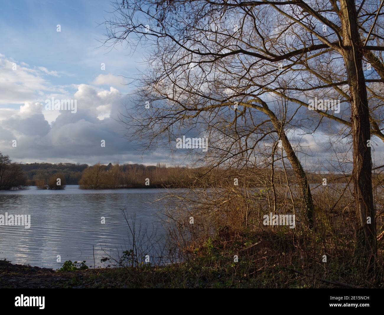 Grand Union Canal, Harefield, England. Canal Walk, towpath, woodland. Lakeside view. Sunset sky through copper sunkissed trees. Walking and Hiking Stock Photo