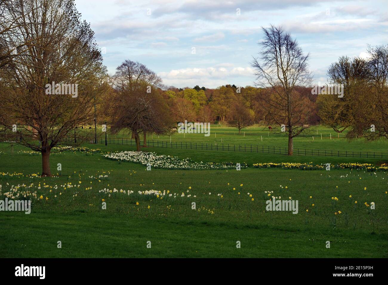 View of the garden of Farmleigh palace in Dublin where Prince Albert II of Monaco and his fiancee South African swimmer Charlene Wittstock live during their state vist, on April 5, 2011, in Dublin, Ireland. Photo by Nicolas Gouhier/ABACAPRESS.COM Stock Photo