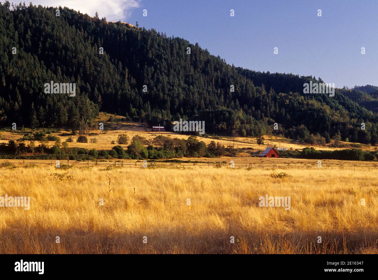 Grass rangeland in South Umpqua River valley, Myrtle Creek Canyonville