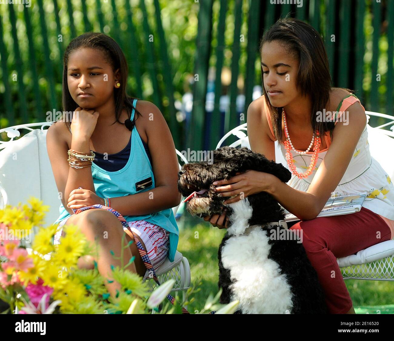 Chiens de la maison blanche hires stock photography and images Alamy(01)