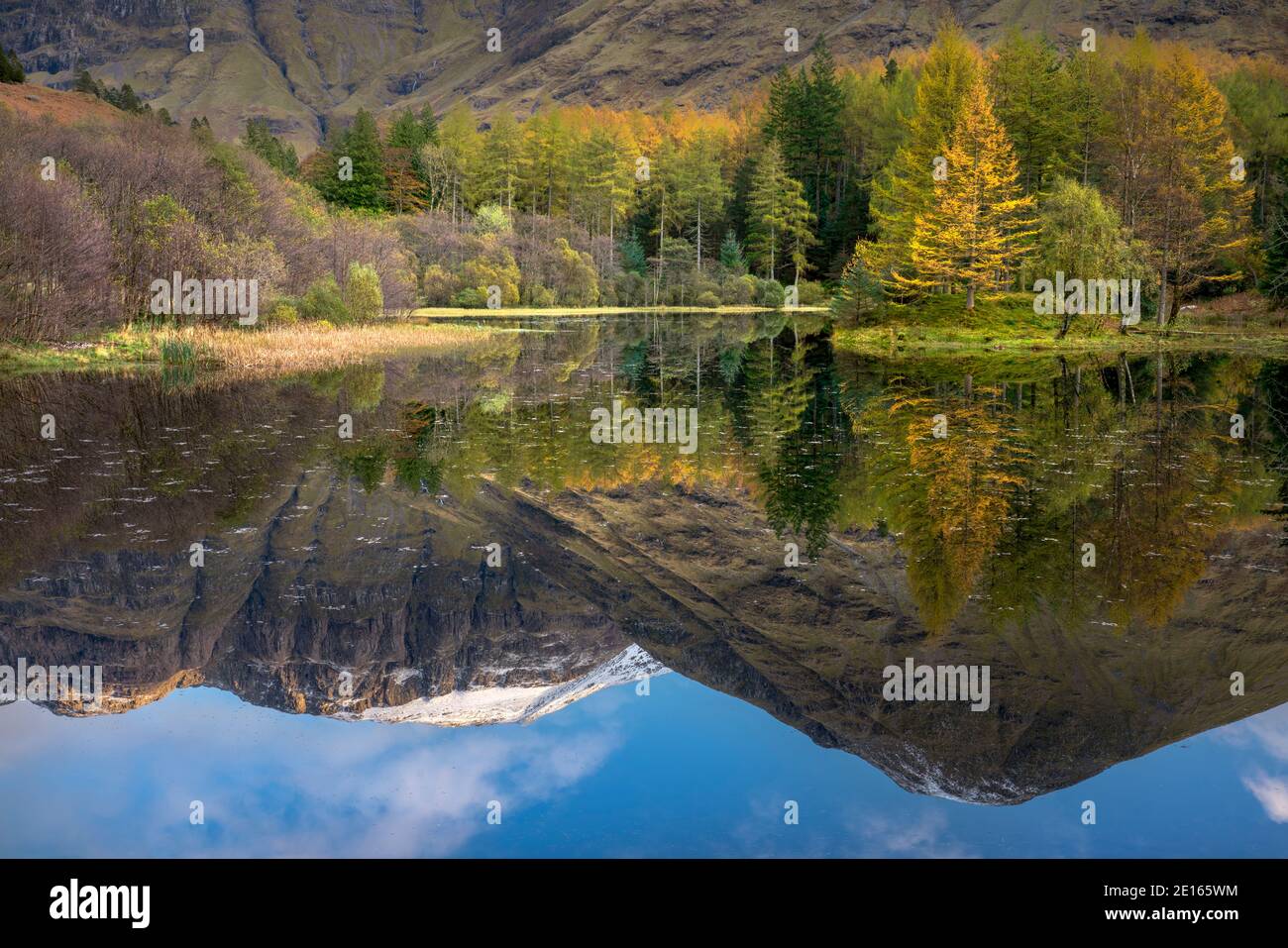Glencoe, scotland, highlands, reflections, autumn, fall, color, travel, travel destination, tree, forest, mountain, grampian, highlands Stock Photo