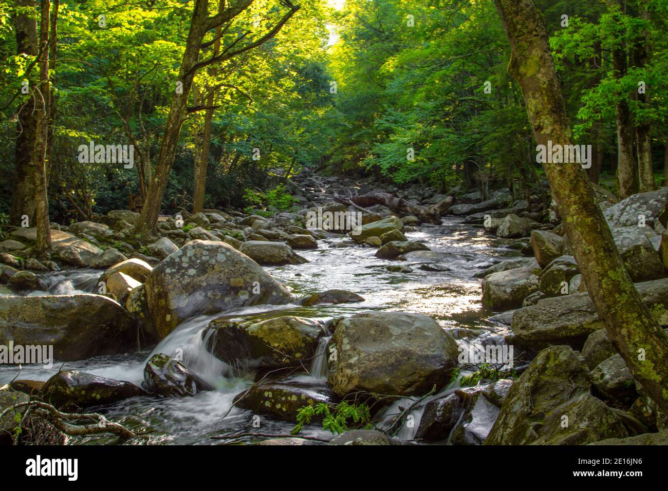 Smoky Mountain Landscape. Stream on a rocky river flows through the mountain wilderness of the Great Smoky Mountains National Park in Tennessee. Stock Photo
