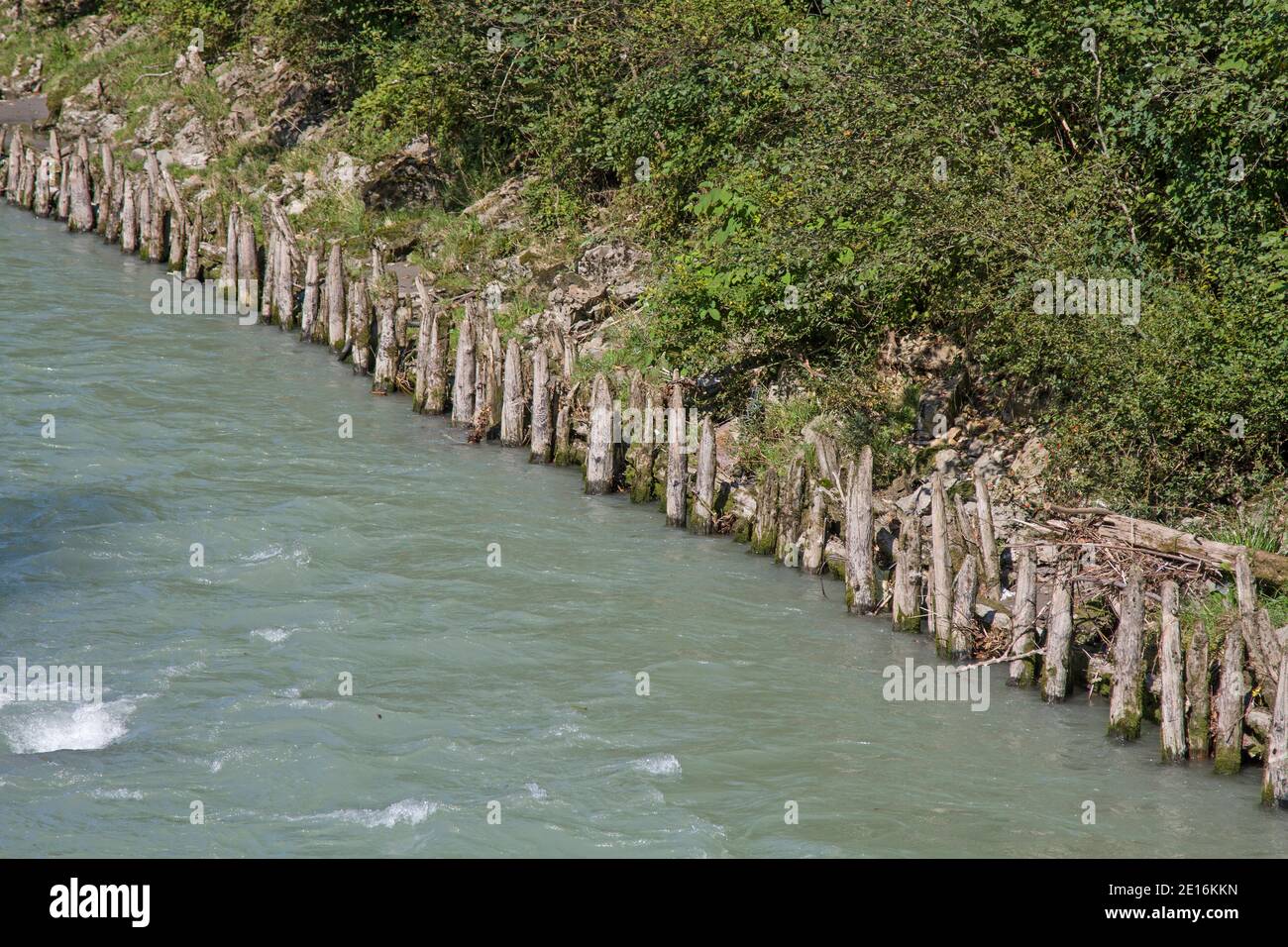 Many Tree Trunks That Have Been Driven Into The Ground Protect The Banks Of The Großache From Destruction Stock Photo