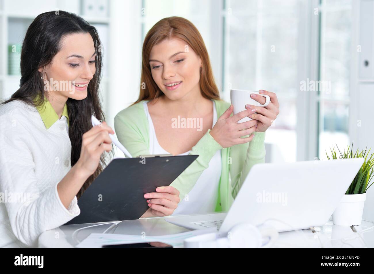 Portrait of young businesswomen working in modern office Stock Photo ...