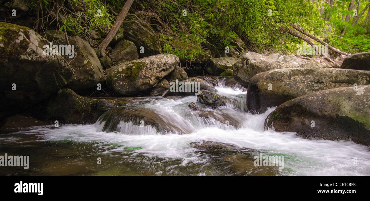 Great Smoky Mountains Waterfall Panorama. Lush forest and crystal clear mountain stream rushes the Great Smoky Mountains National Park in Tennessee. Stock Photo