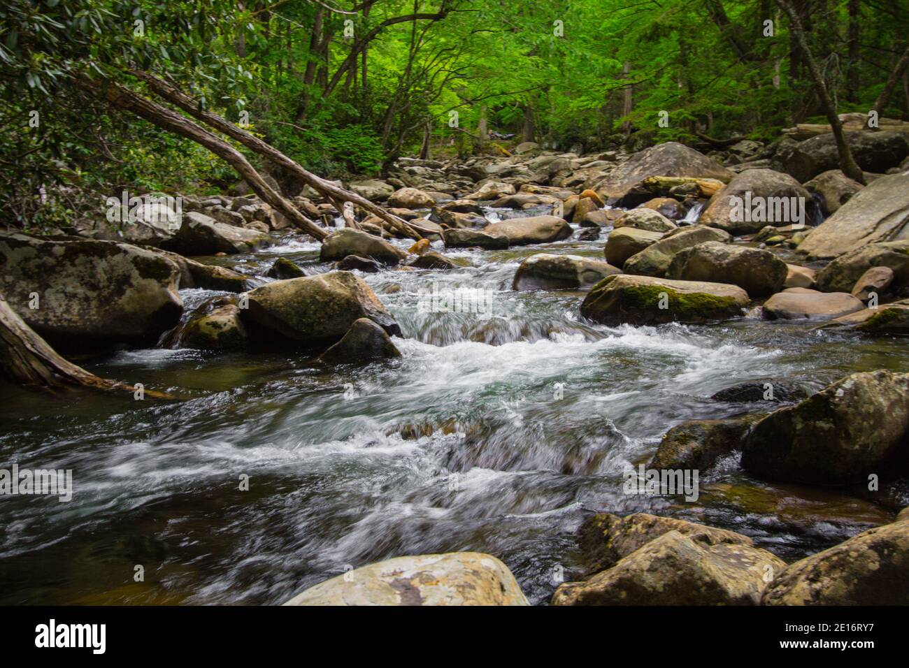 Great Smoky Mountains In The Spring. Rushing river surrounded by lush foliage during springtime in the Great Smoky Mountains National Park in Tennessee. Stock Photo