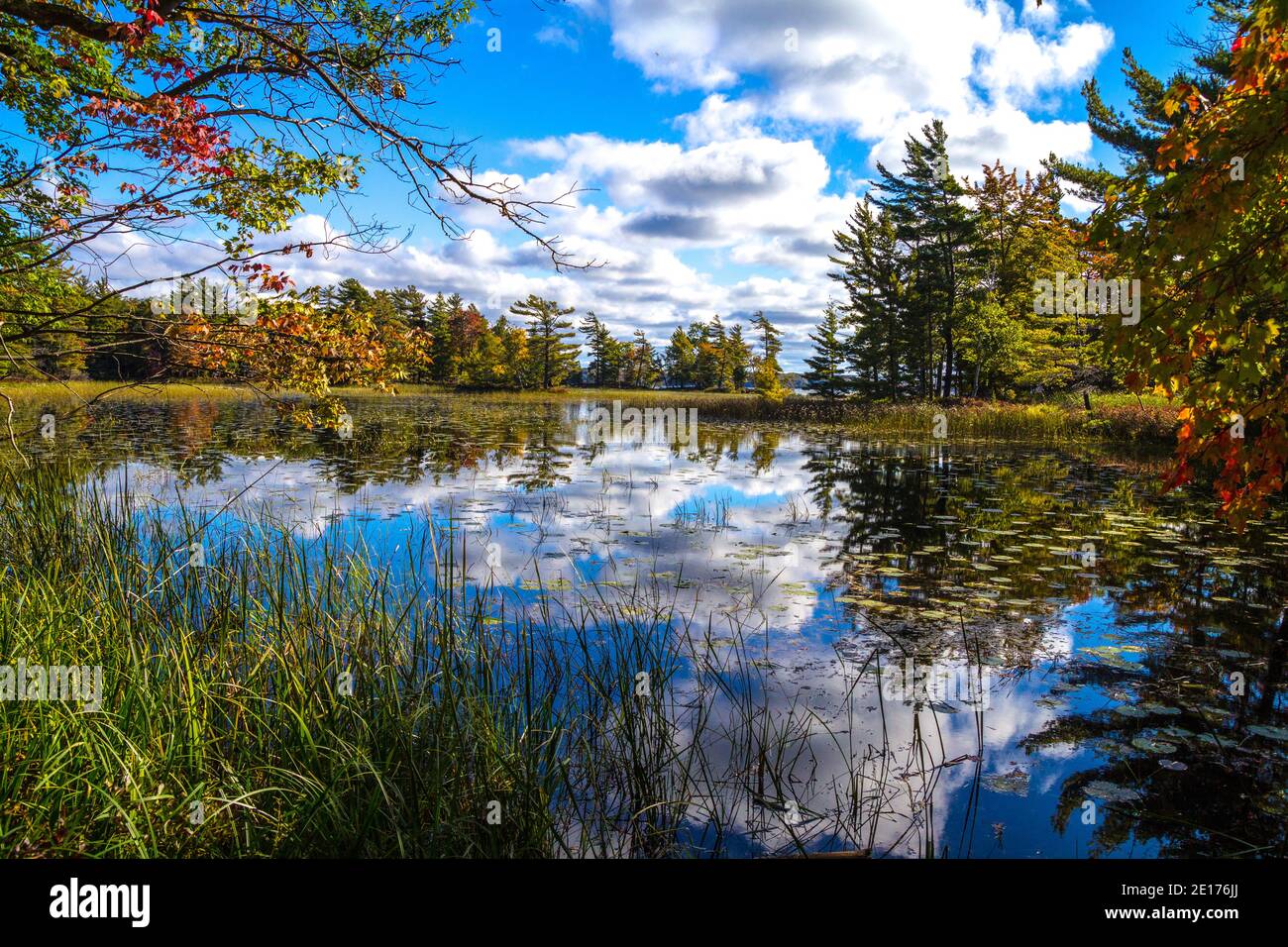 Autumn Lake Reflections. Beautiful fall colors illuminated in Lost Lake at Ludington State Park in Michigan. Stock Photo