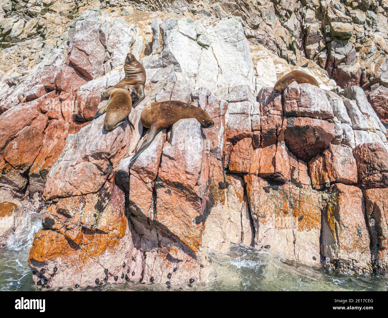 Poor Man's Galapagos Stock Photo Alamy