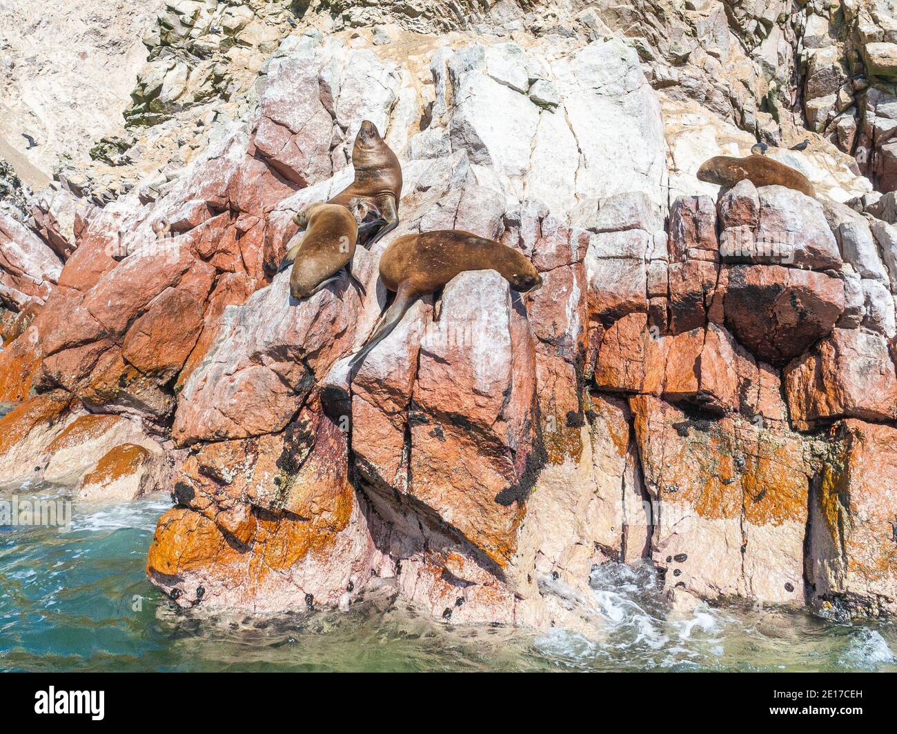 Poor Man's Galapagos Stock Photo Alamy