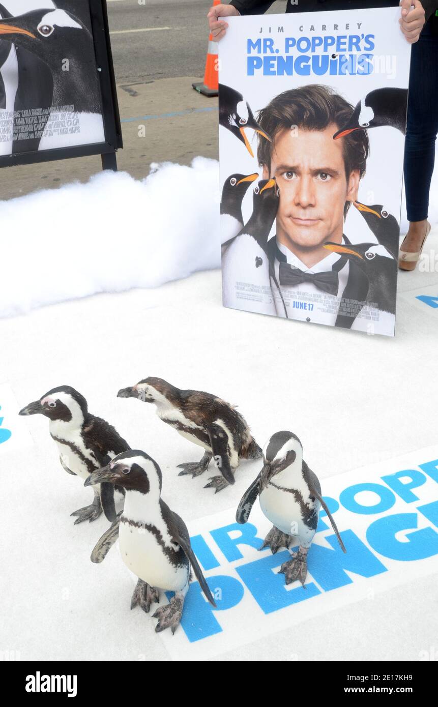 Penguins arriving for the premiere of 20th Century Fox's 'Mr. Popper's Penguins' held at Grauman's Chinese Theatre in Los Angeles, California on June 12, 2011. Photo by Tonya Wise/ABACAPRESS.COM Stock Photo