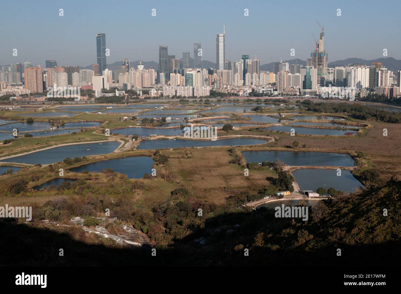 Fishponds, Ma Tso Lung, New Territories, Hong Kong, with Shenzhen high-rise in the background 1 Jan 2021 Stock Photo