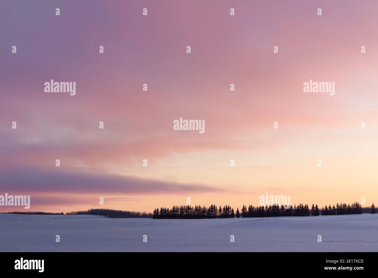 Prairie sunset in winter over snow covered field, trees on horizon Stock Photo