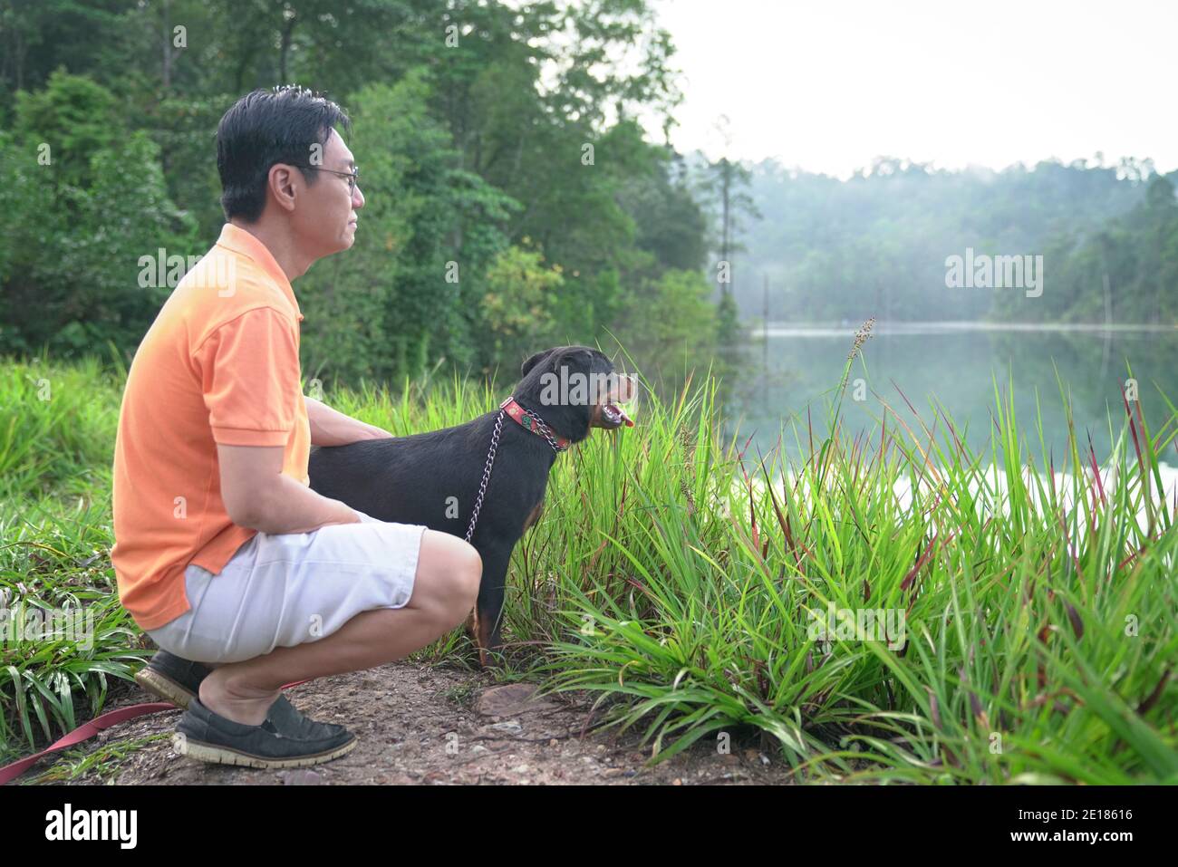 Dog facing foggy lake together with adult man inside a forest. Outdoor recreation concept. Stock Photo