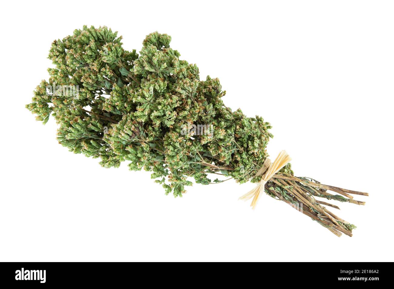 Dried oregano bouquet isolated on white background Stock Photo Alamy