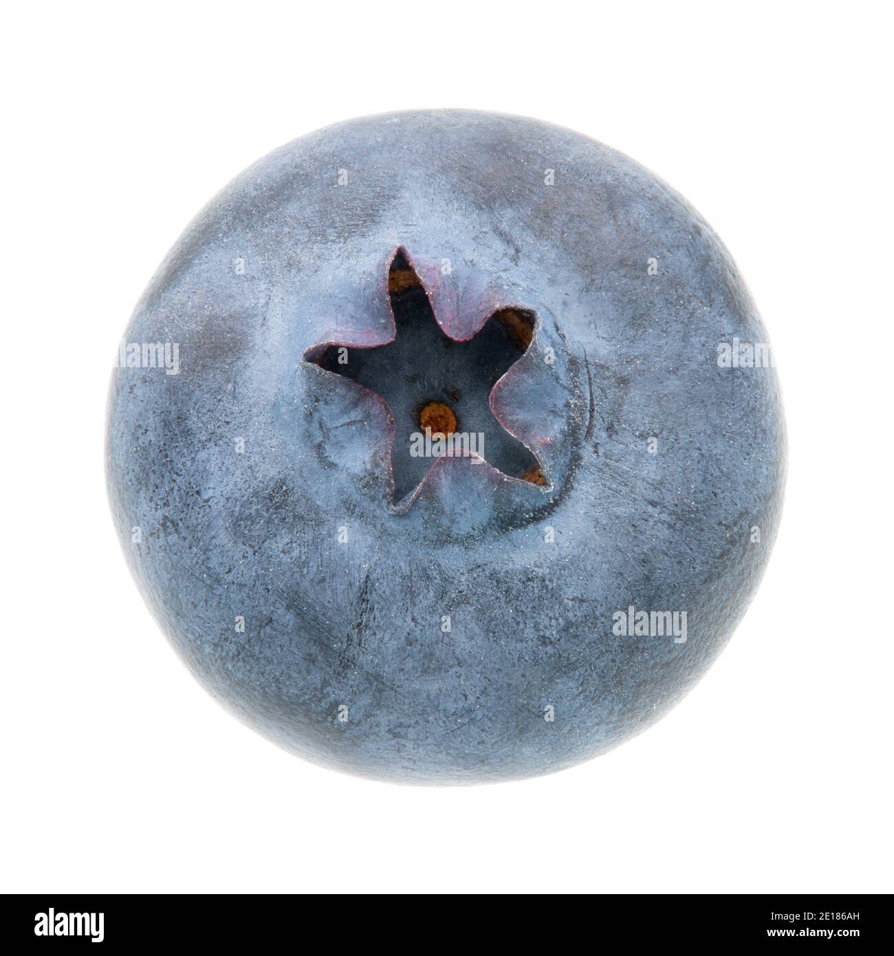 Blueberry isolated on white background. Full depth of field with ...