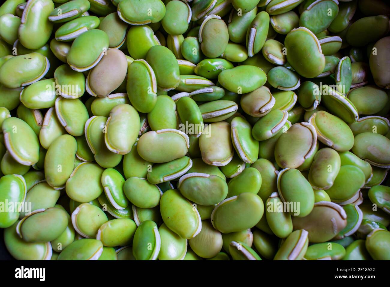 View of green lima beans (also known as mocha kottai in tamil ...