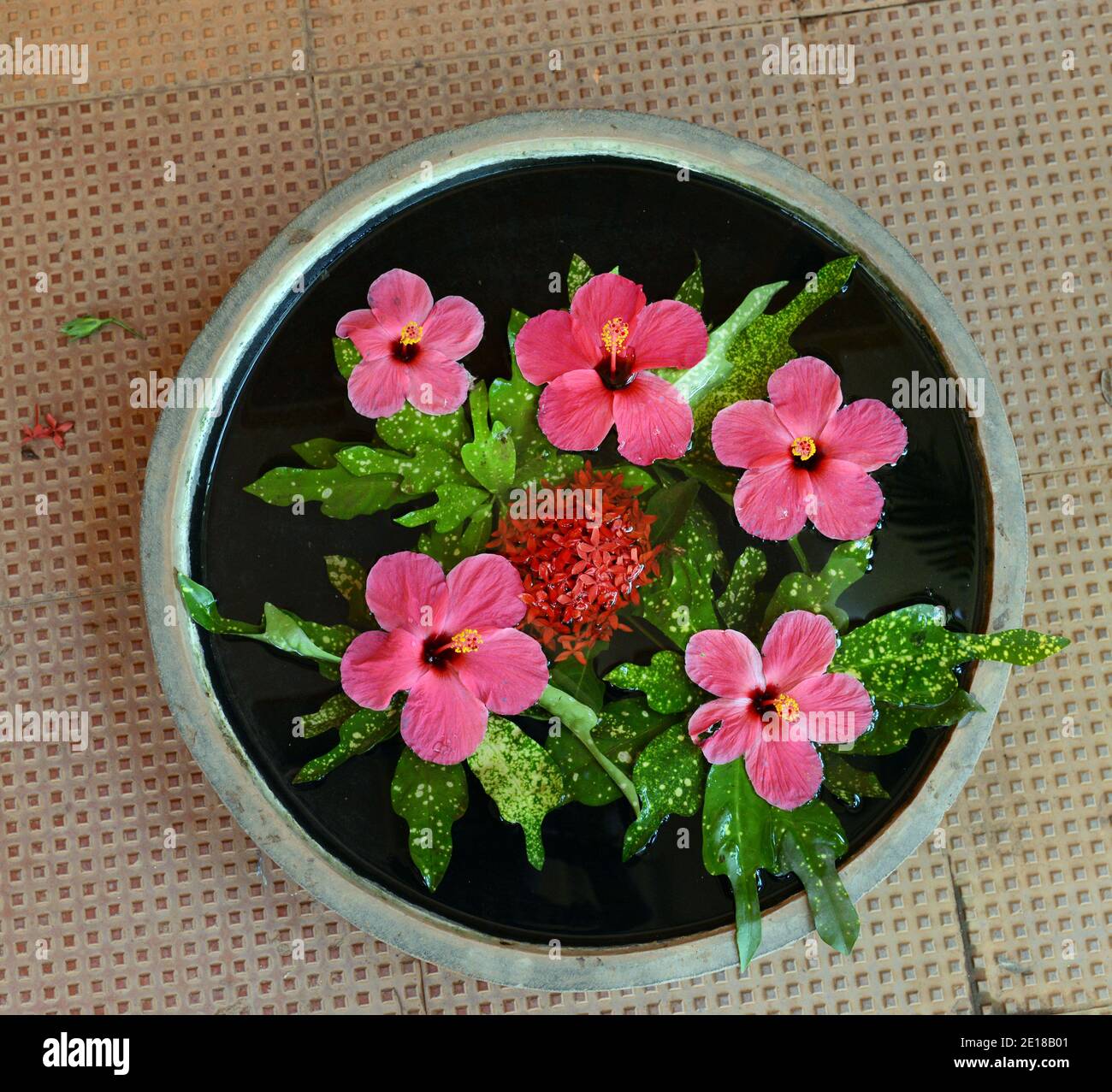 Flowers of tamil nadu hi-res stock photography and images - Alamy