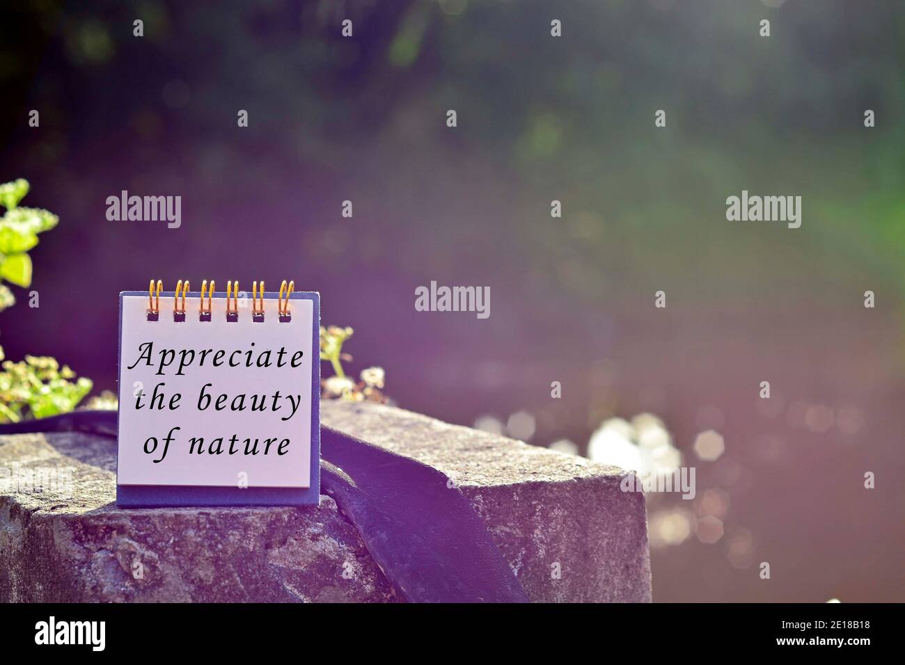 Appreciate the beauty of nature text written on note with blurred background Stock Photo
