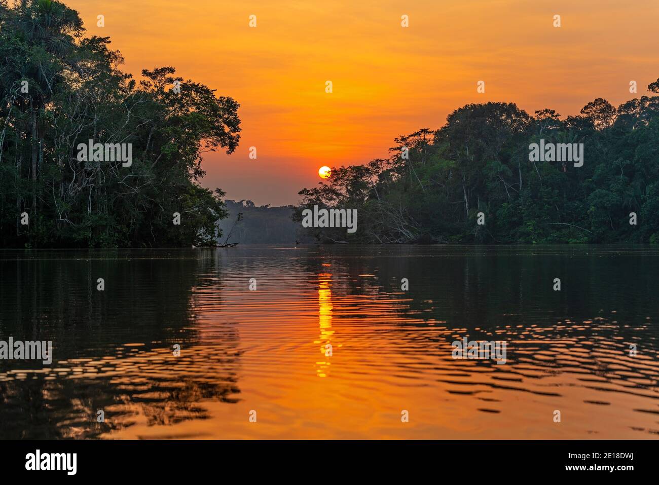 Sunset Reflection In The Amazon Rainforest The Amazon River Basin Comprise Brazil Bolivia Colombia Ecuador Guyana Suriname Peru And Venezuela Stock Photo Alamy
