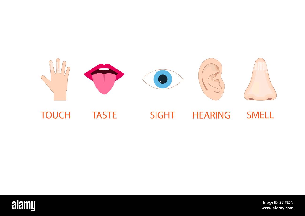 Human senses icon. Vector illustration, flat design. Stock Vector