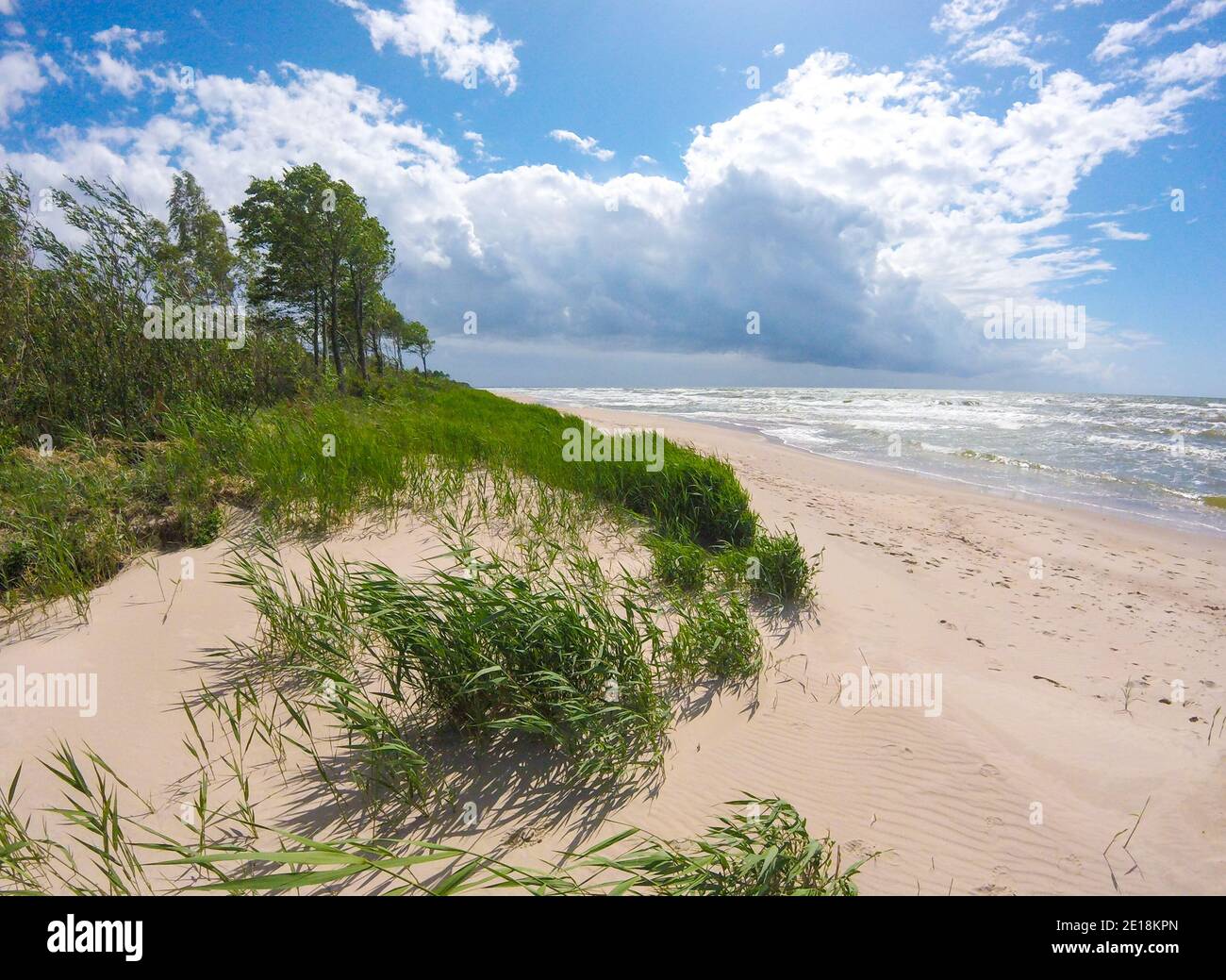 Sandy Ruff Rough sea with waves, cloudy sky, sandy beach and dunes with reeds and ...