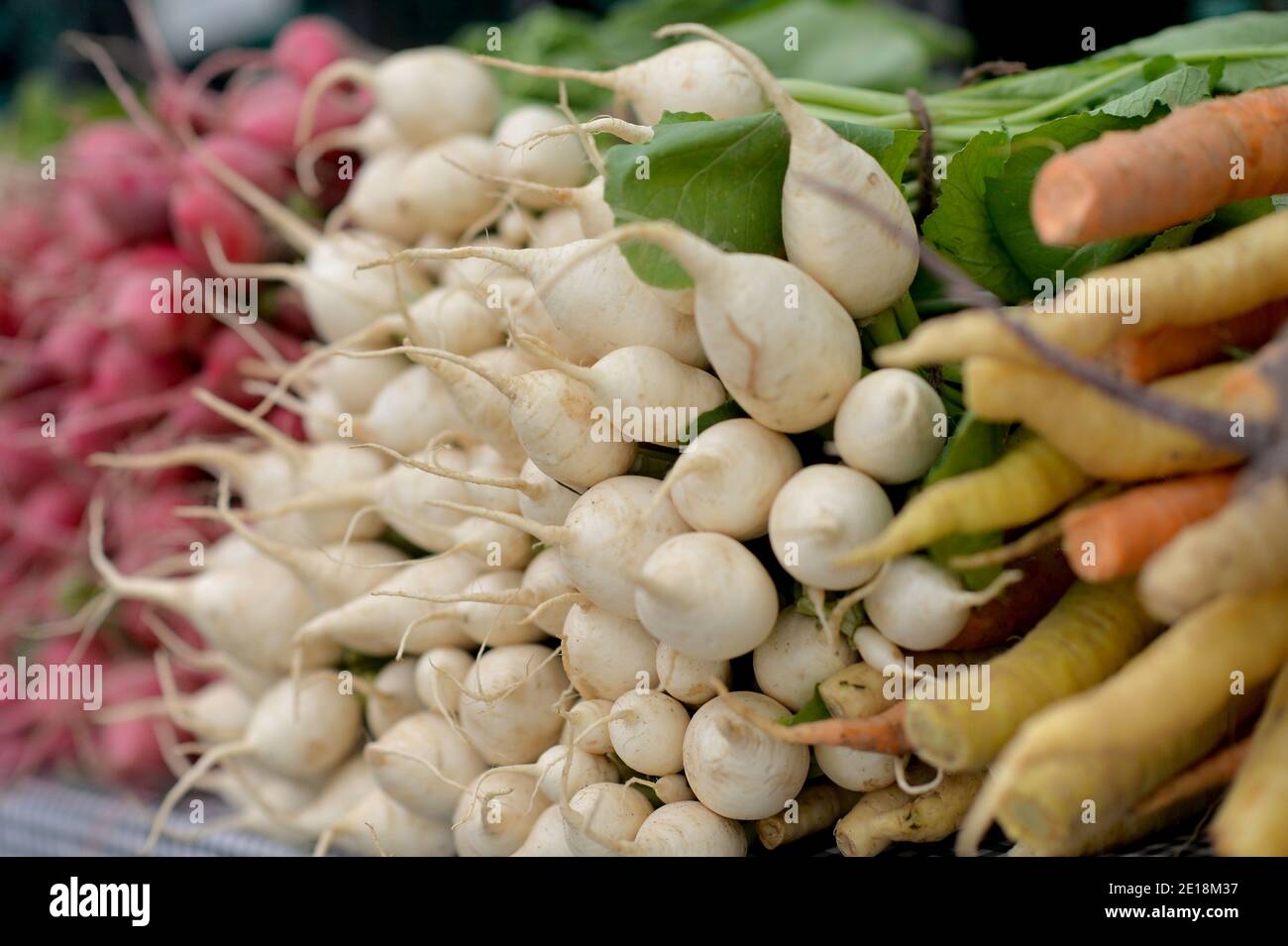 Close-up view of fresh radishes at market Stock Photo