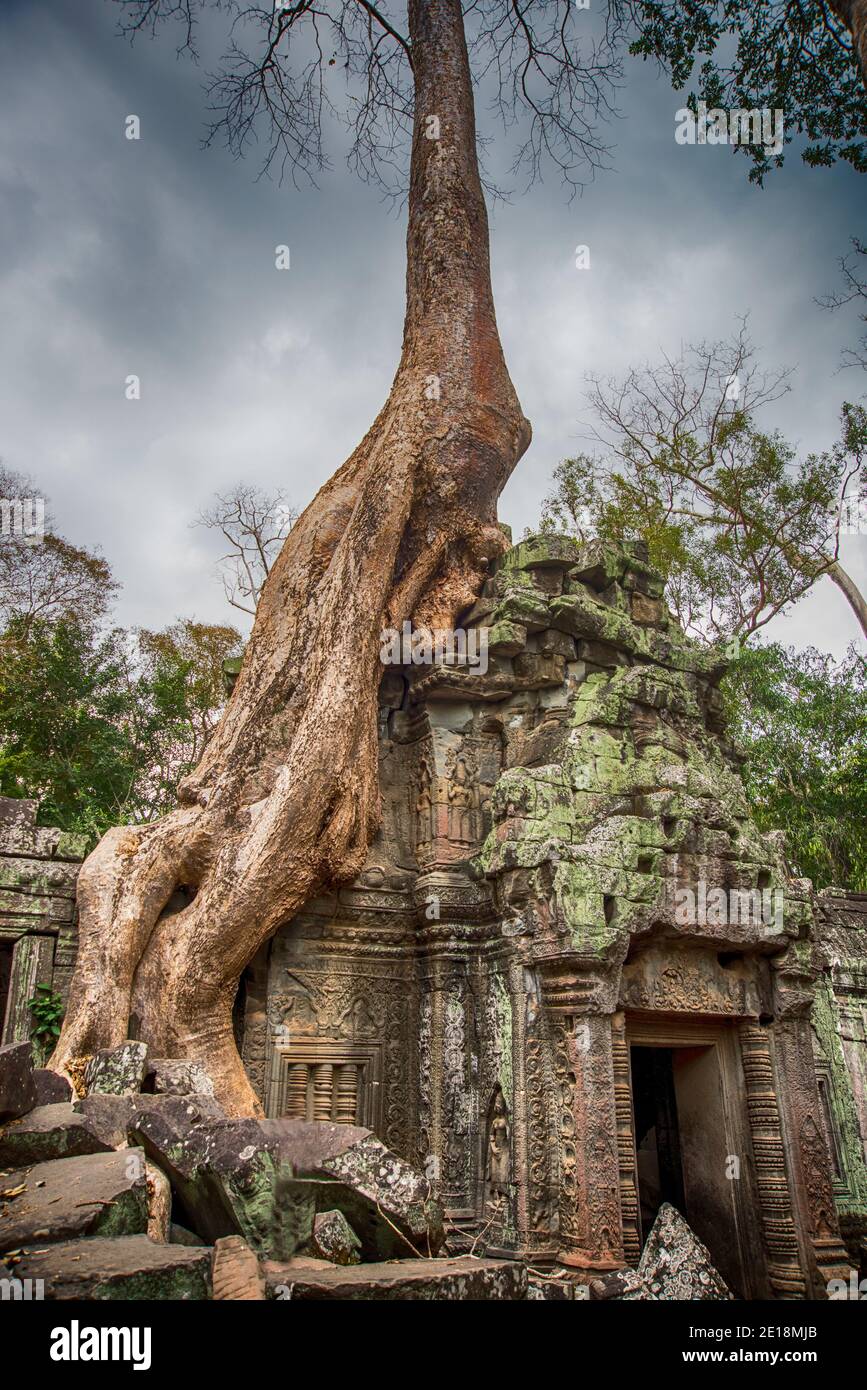 Ruins of ancient Angkor Wat in Siem Reab Cambodia Stock Photo