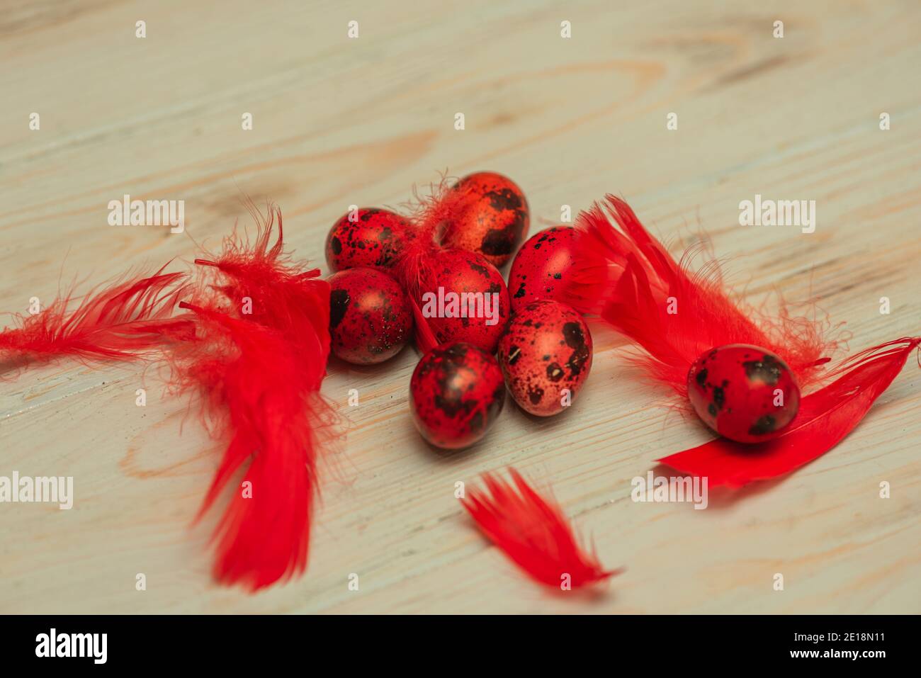 dyed quail eggs and feathers. Spring organic easter concept dyed easter