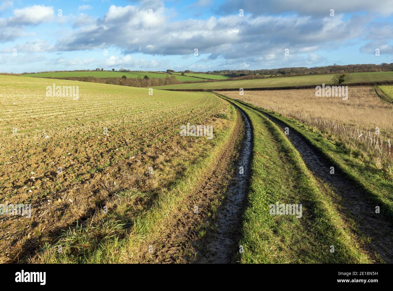 Muddy farm tracks going through the Hampshire countryside near
