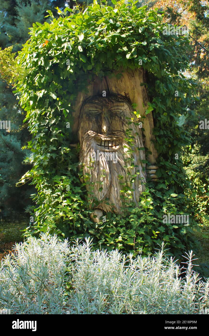 Carved Tree Face In A Tree Stump High Resolution Stock Photography And Images Alamy