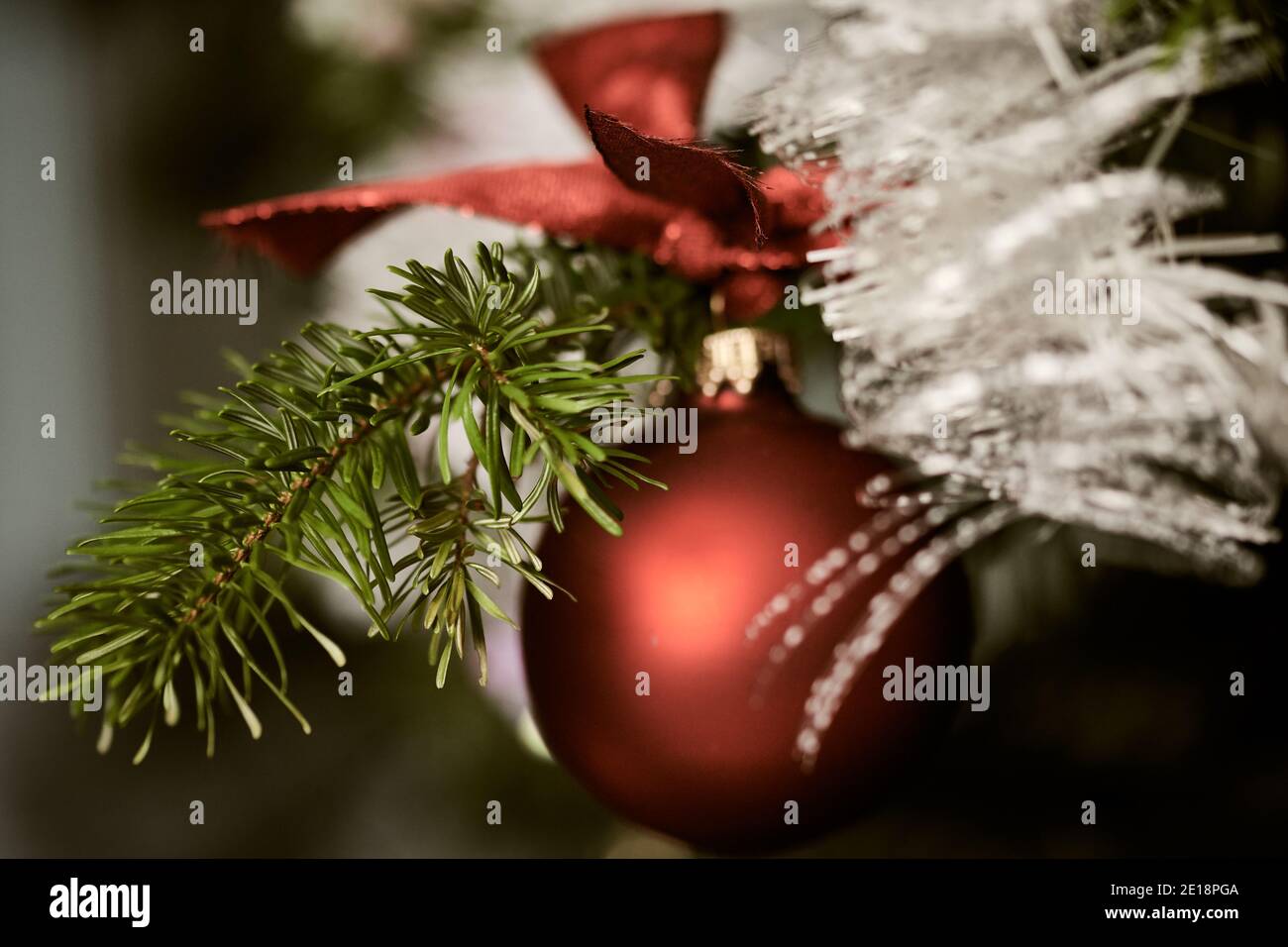 Festive christmas background. Close-up of one red bauble with white tinsel on a branch of fir tree. Stock Photo