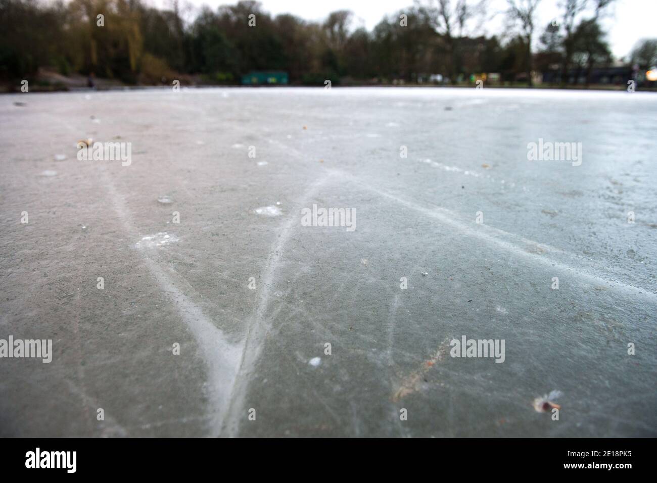 Glasgow, Scotland, UK. 5 January 2021. Pictured: The melting and cracking ice on the pond. Queens Park in Shawlands, this morning showing only a few people around the park and on the ice, form a marked contrast to the scenes yesterday which saw hundreds of people on the ice, skating, playing hockey and around the park. As of 00:01 this morning Scotland has been placed into another lockdown as per the Scottish First Minister's address at 2pm yesterday. Credit: Colin Fisher/Alamy Live News. Stock Photo