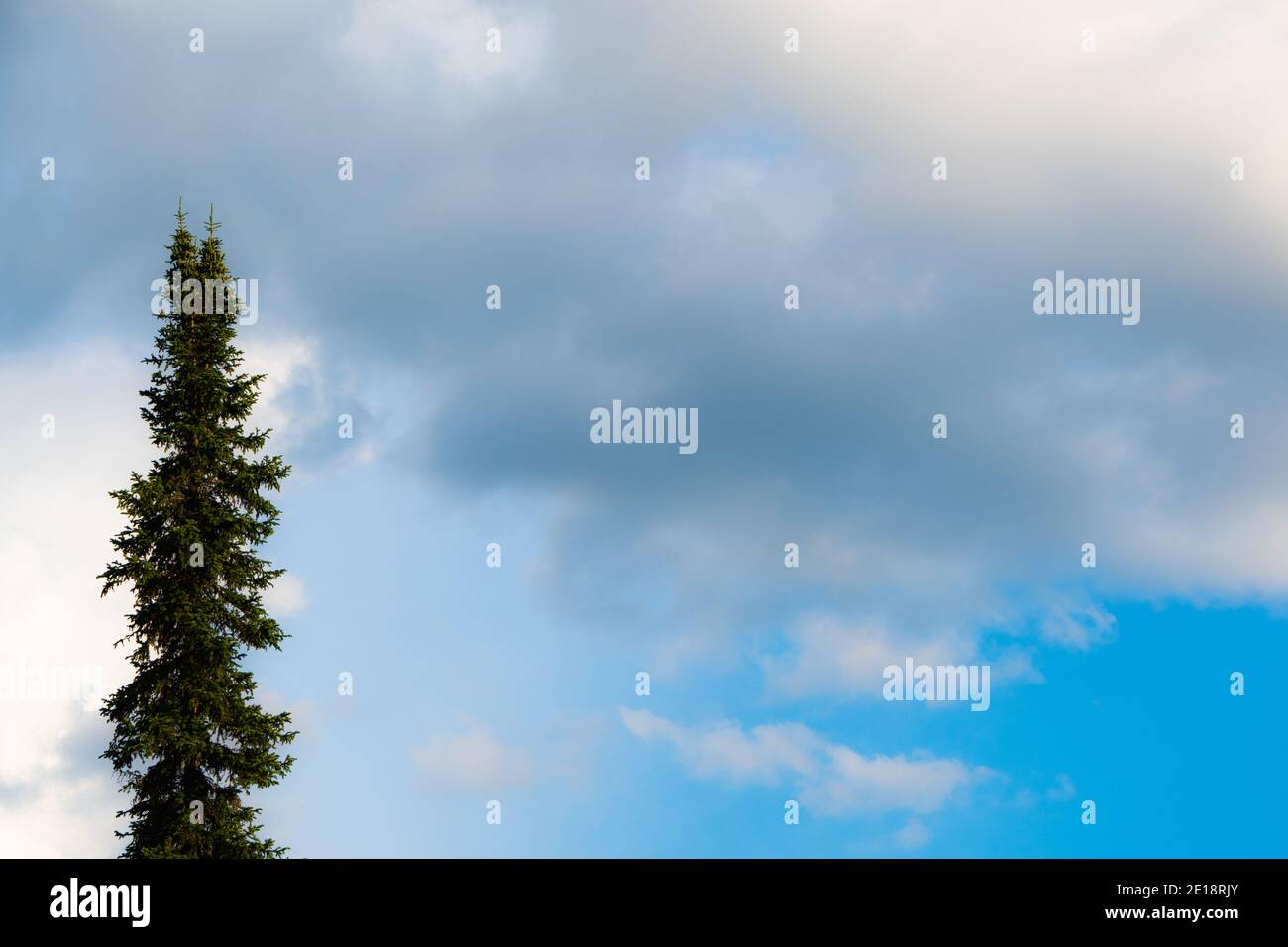 Soft cloud texture on blue sky background Stock Photo