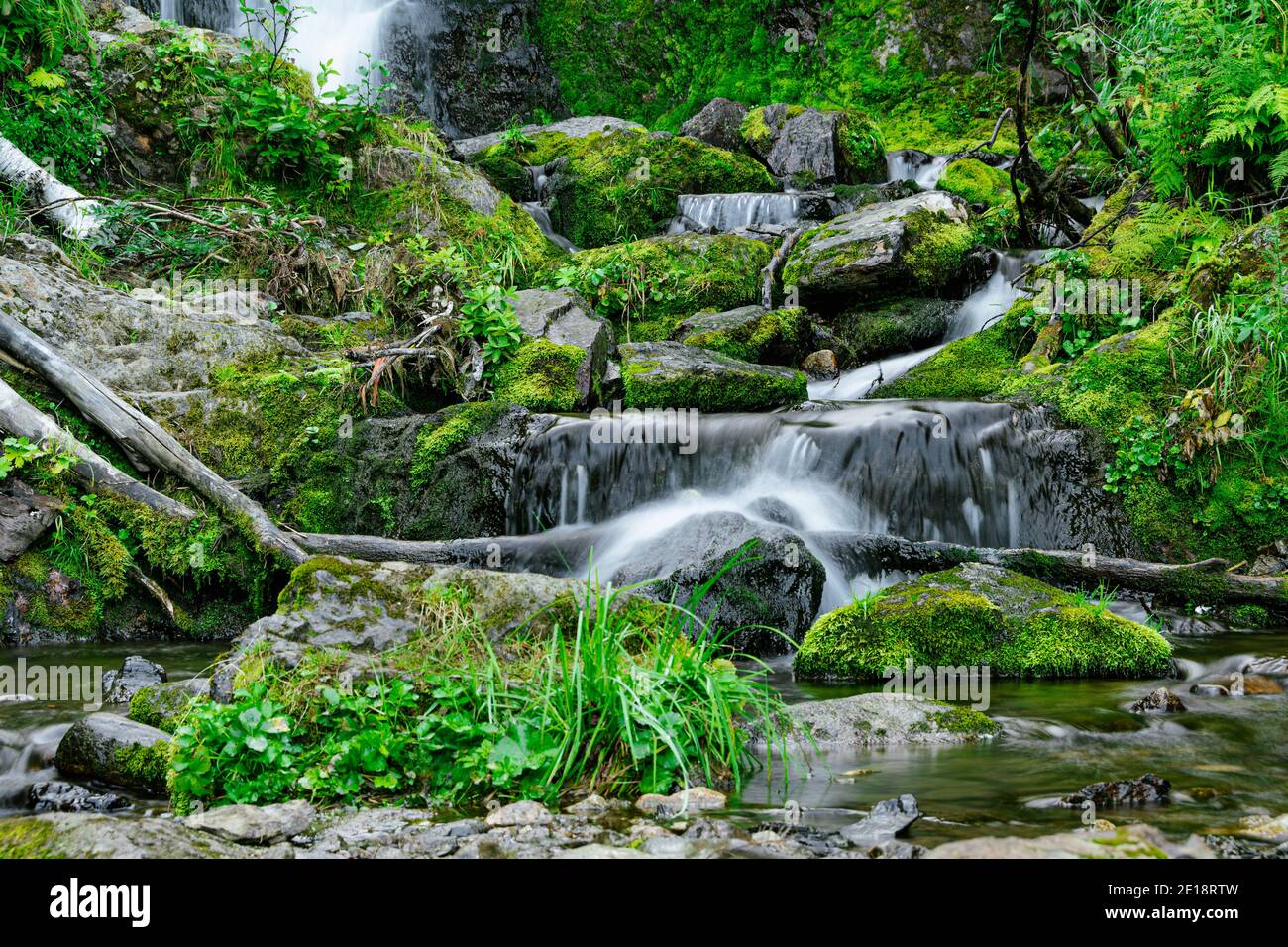 Forest stream in rainforest. Waterfall among mossy rocks and greenery. Mountain river on summer day. Nature landscape with  cascades of mountain creek Stock Photo