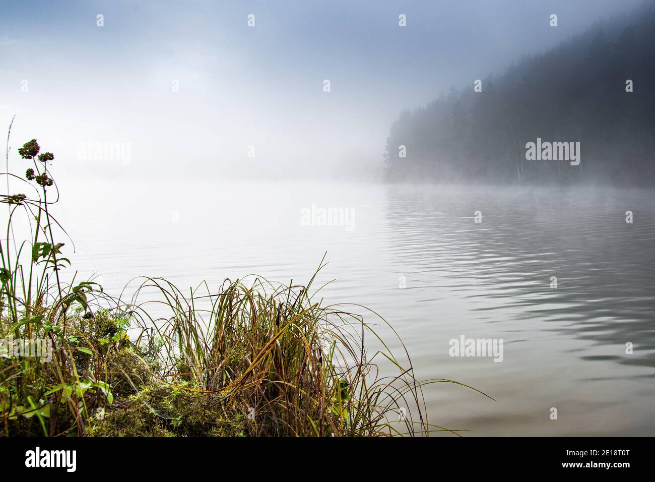 Fog over the surface of water on lake. Morning haze on river Stock ...