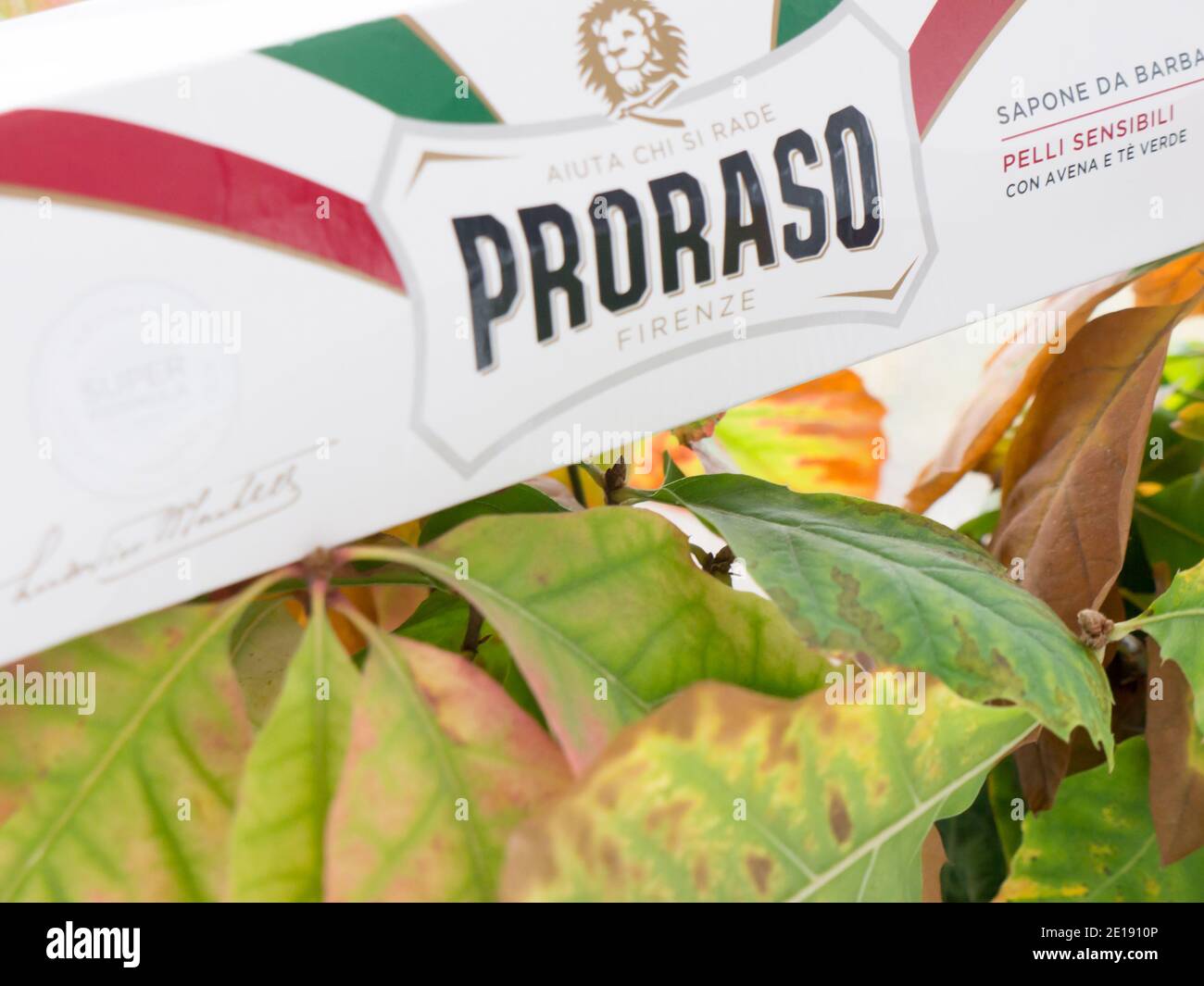 GOMEL, BELARUS - JANUARY 5, 2021: PRORASO shaving soap. Proraso is a  personal care and grooming brand owned by the Italian company Ludovico  Martelli Stock Photo - Alamy