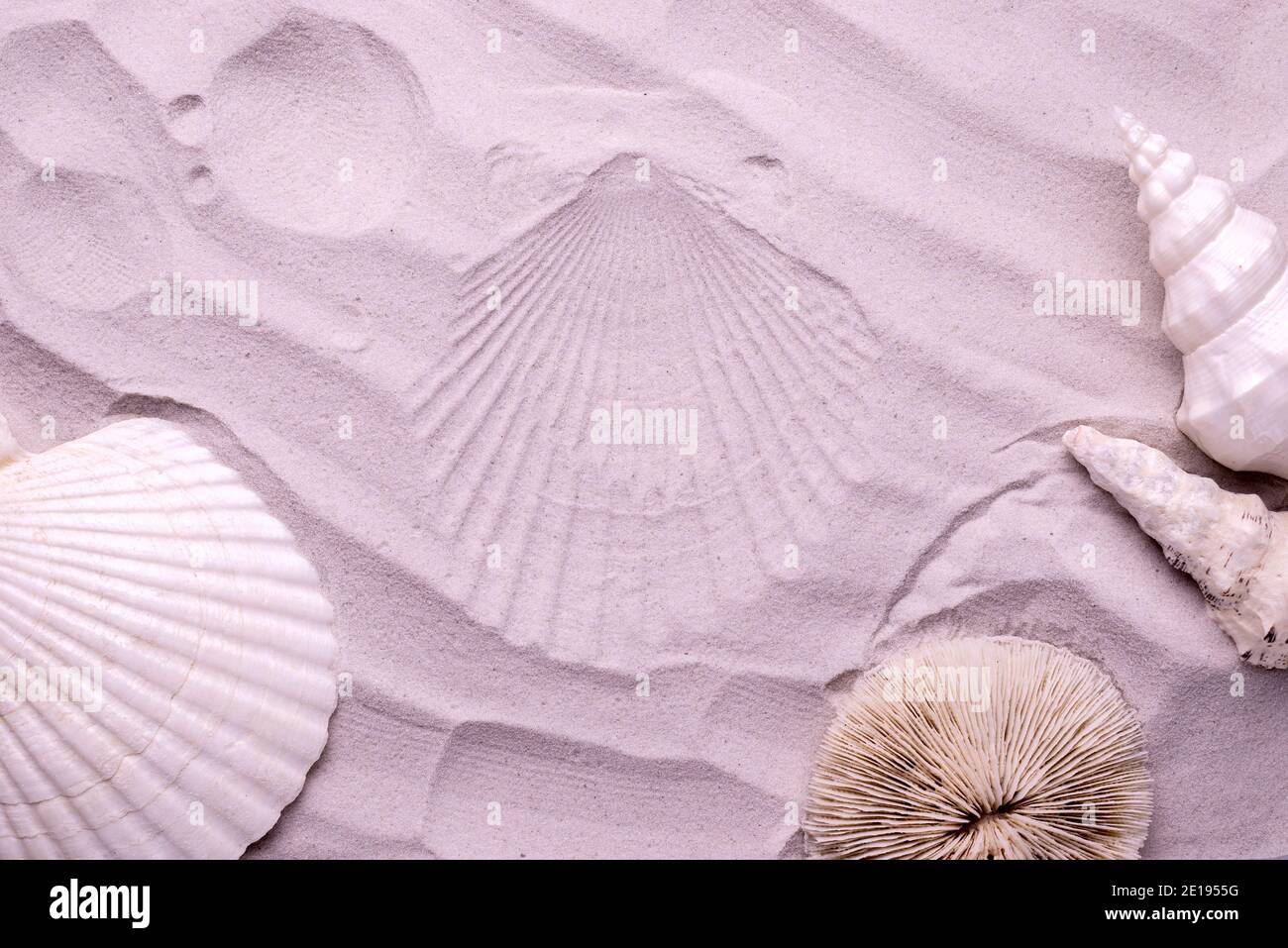 Starfish and seashells on dune sand. Top view Vacation background Stock ...