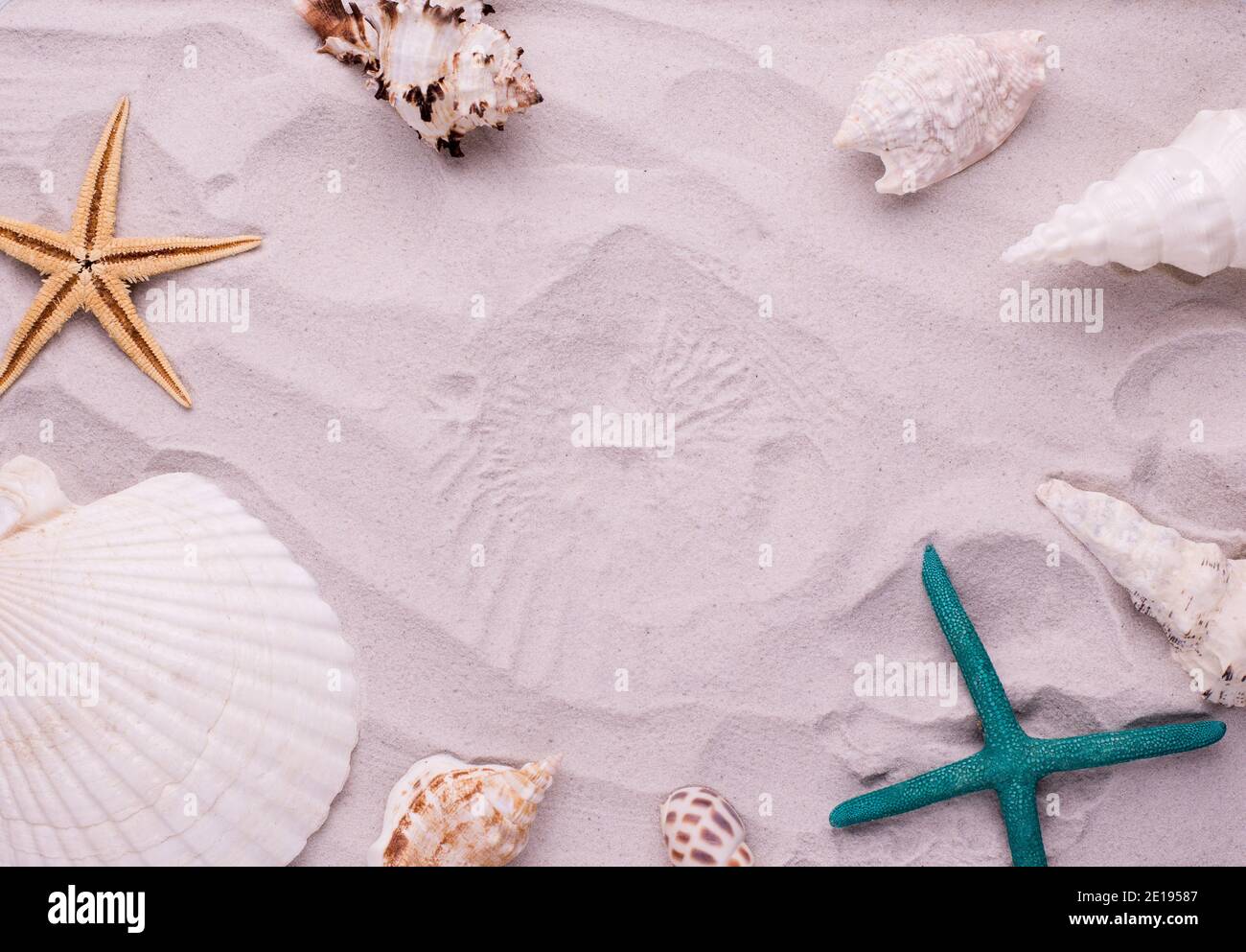 Starfish and seashells on dune sand. Top view Vacation background Stock ...