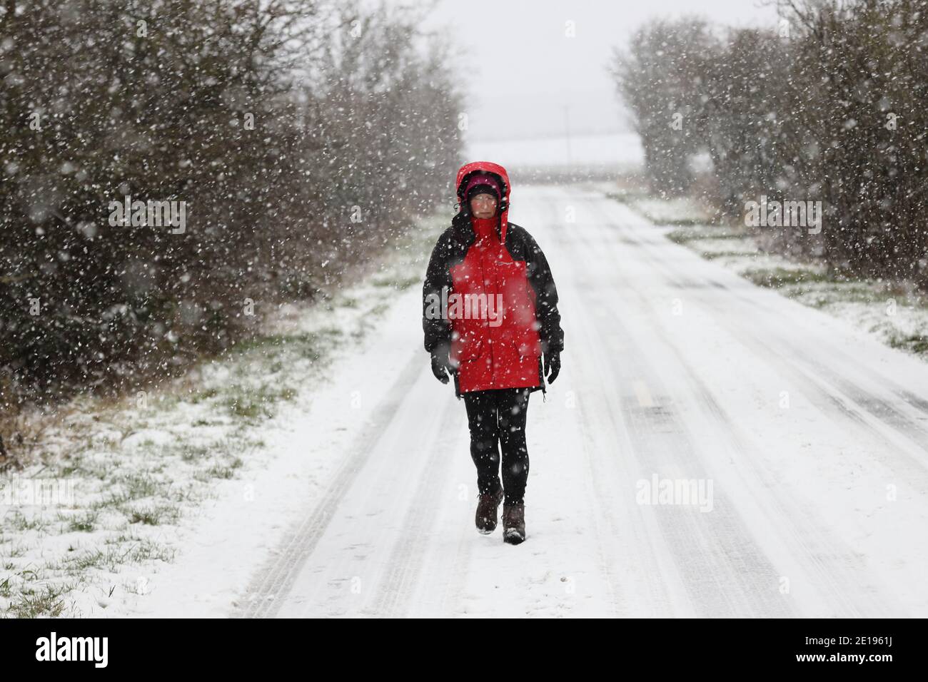 Barnard Castle, Teesdale, County Durham, UK. 5th January 2021. UK Weather.  A woman takes her permitted daily exercise on the outskirts of Barnard Castle as heavy snow falls around her. Credit: David Forster/Alamy Live News Stock Photo