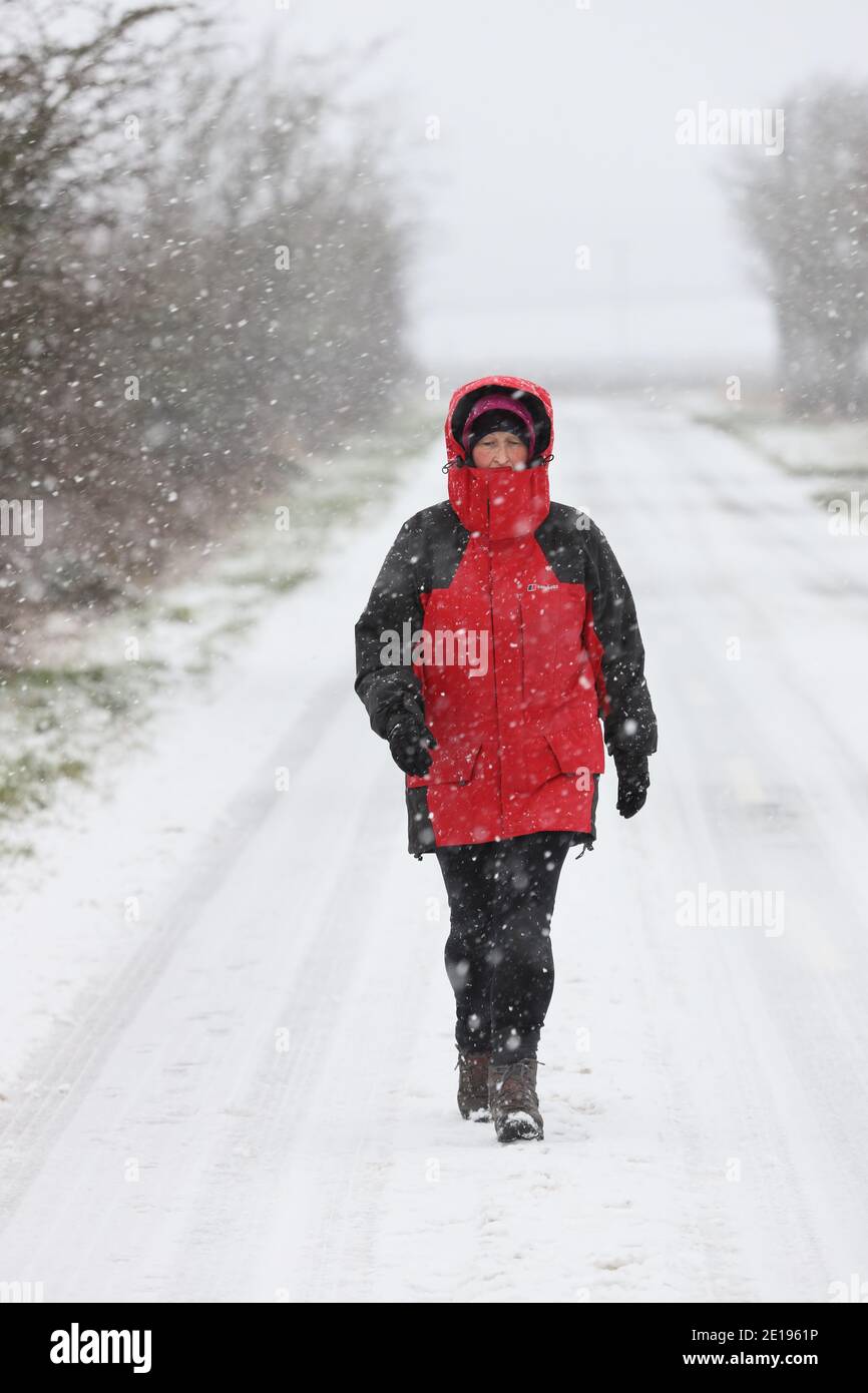 Barnard Castle, Teesdale, County Durham, UK. 5th January 2021. UK Weather.  A woman takes her permitted daily exercise on the outskirts of Barnard Castle as heavy snow falls around her. Credit: David Forster/Alamy Live News Stock Photo
