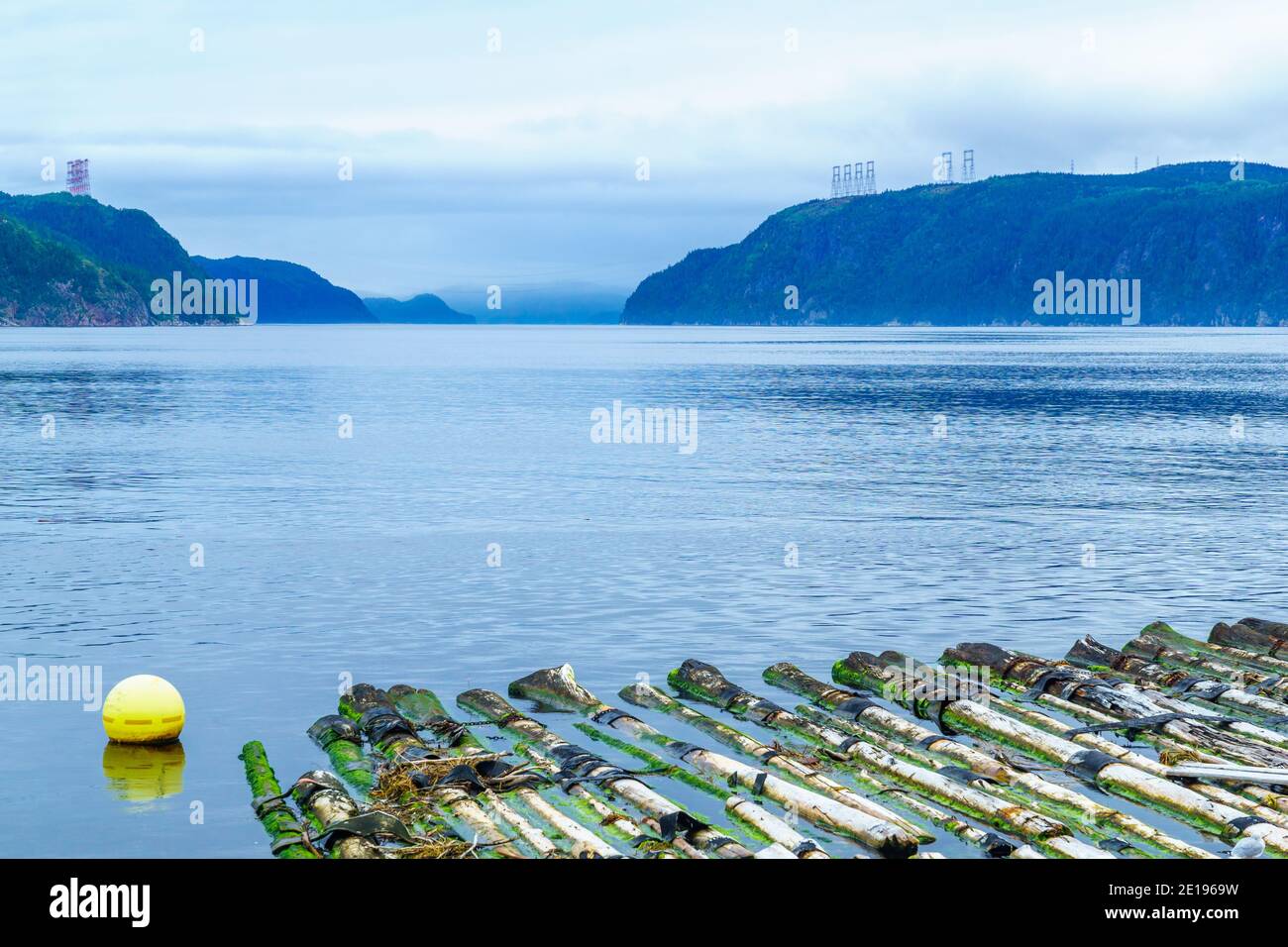 View of logs and the Saguenay fjord in LAnsedeRoche, Quebec, Canada