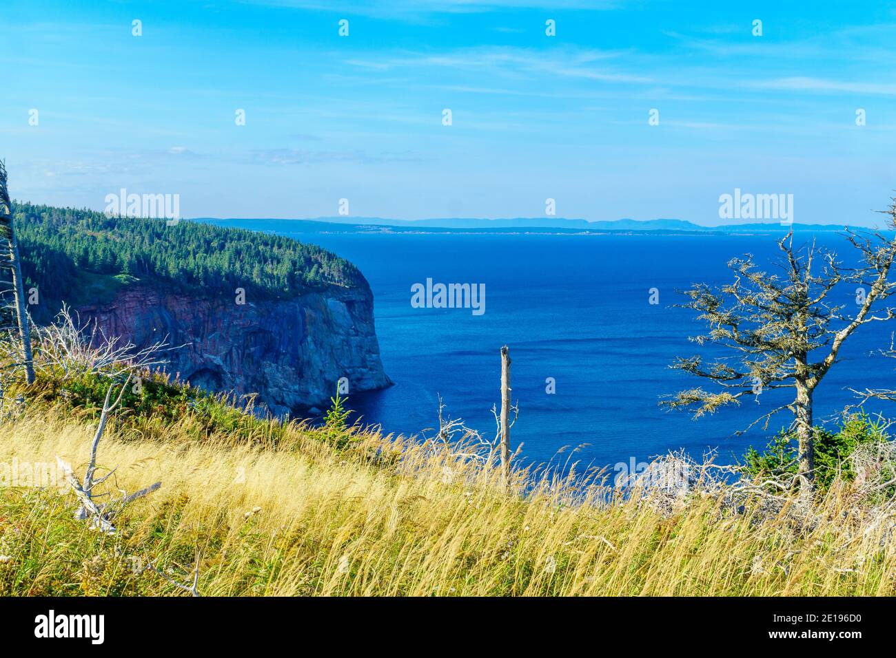 View of cliffs in the Bonaventure Island, near Perce, at the tip of