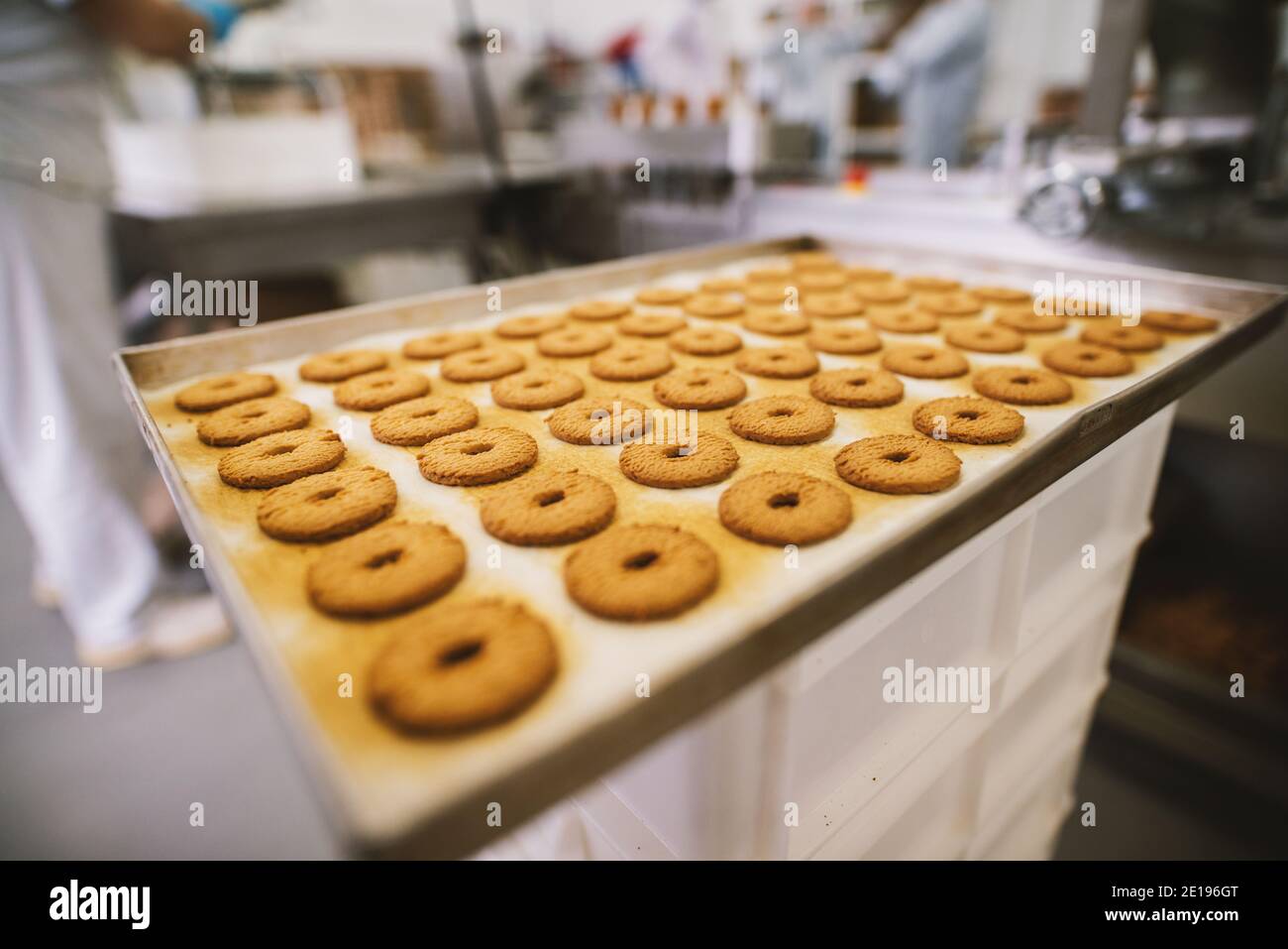 Cookie factory, food industry. Fabrication. Cookie production Stock