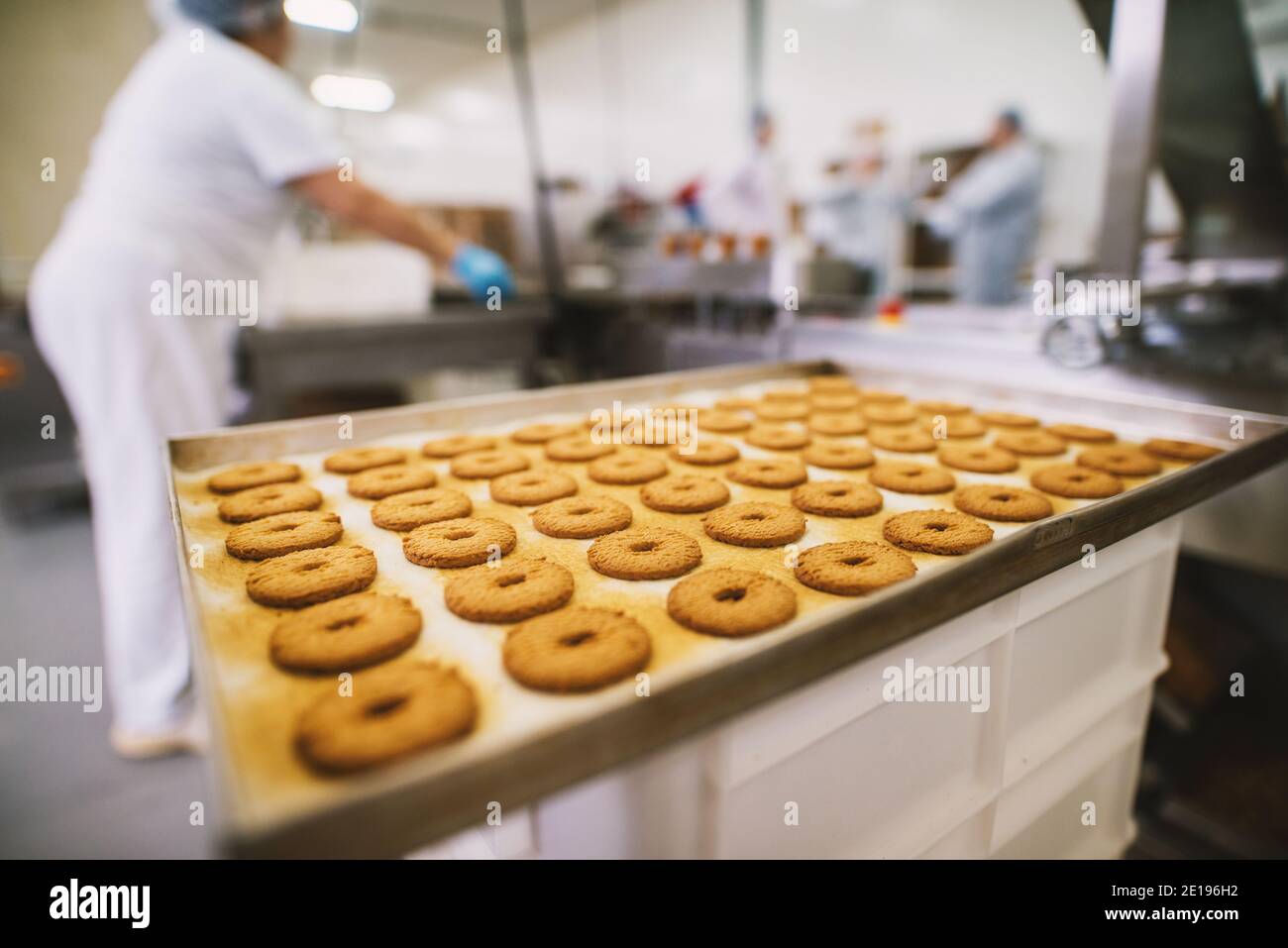 Cookie factory, food industry. Fabrication. Cookie production Stock