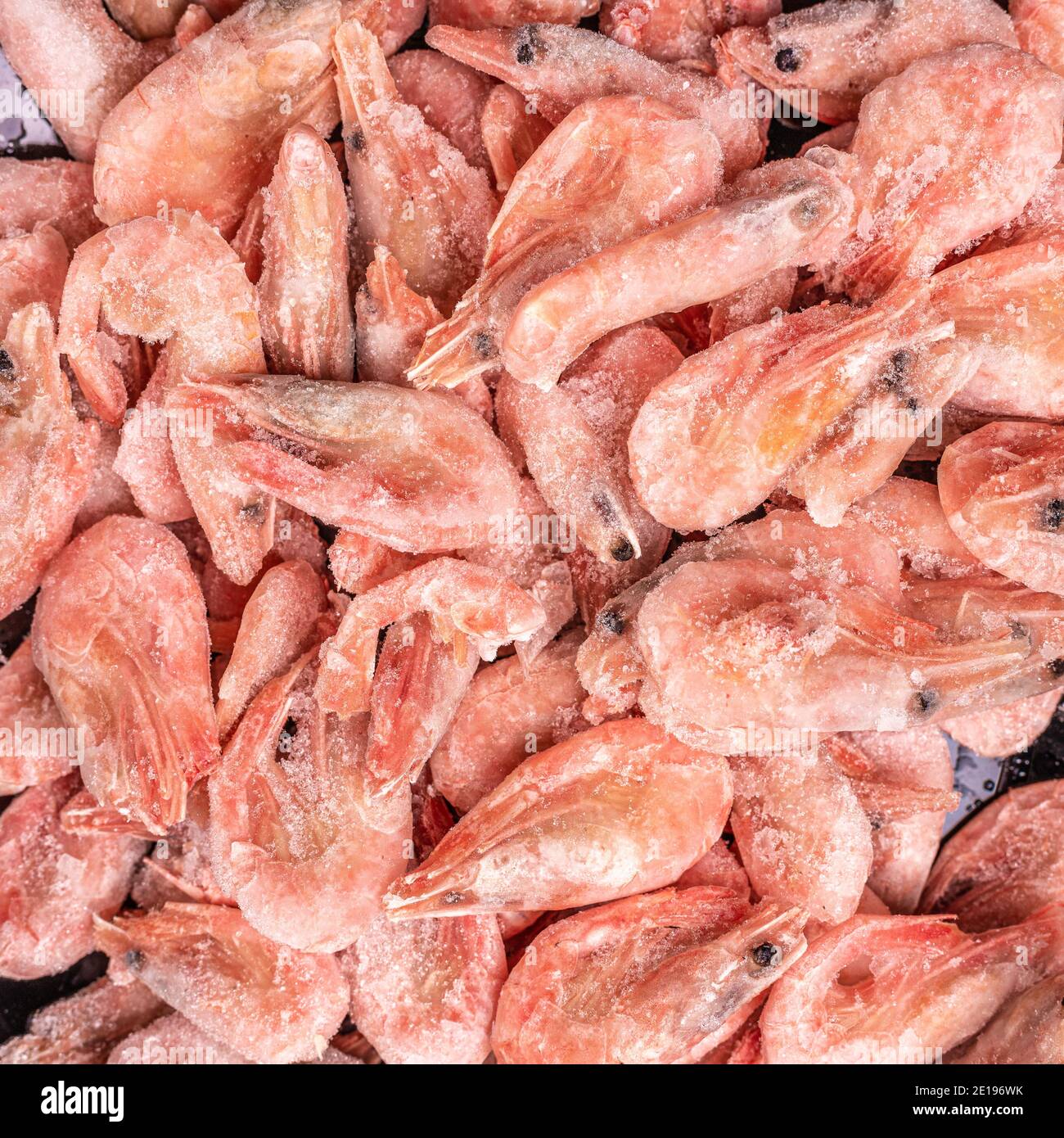 frozen shrimp. Raw shrimp background. Pile of frozen shrimps on white background. Close-up of frozen prawns. Shrimp and ice. top view. square image Stock Photo