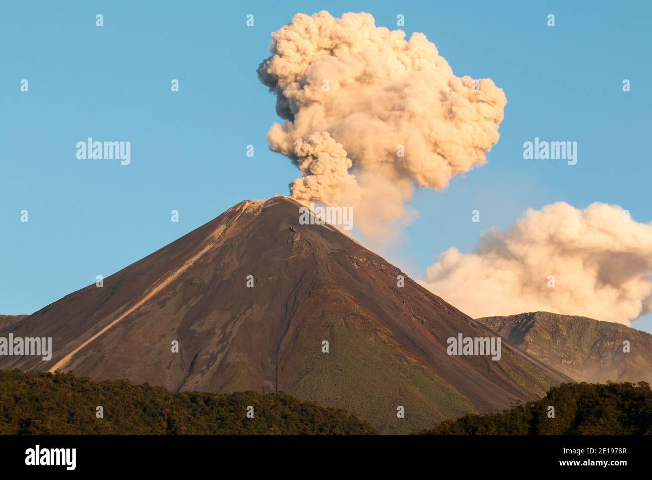 Reventador Volcano erupting at dawn, August 2016. The mountain is situated in a remote part of the Ecuadorian Amazon surrounded by rainforest. Stock Photo