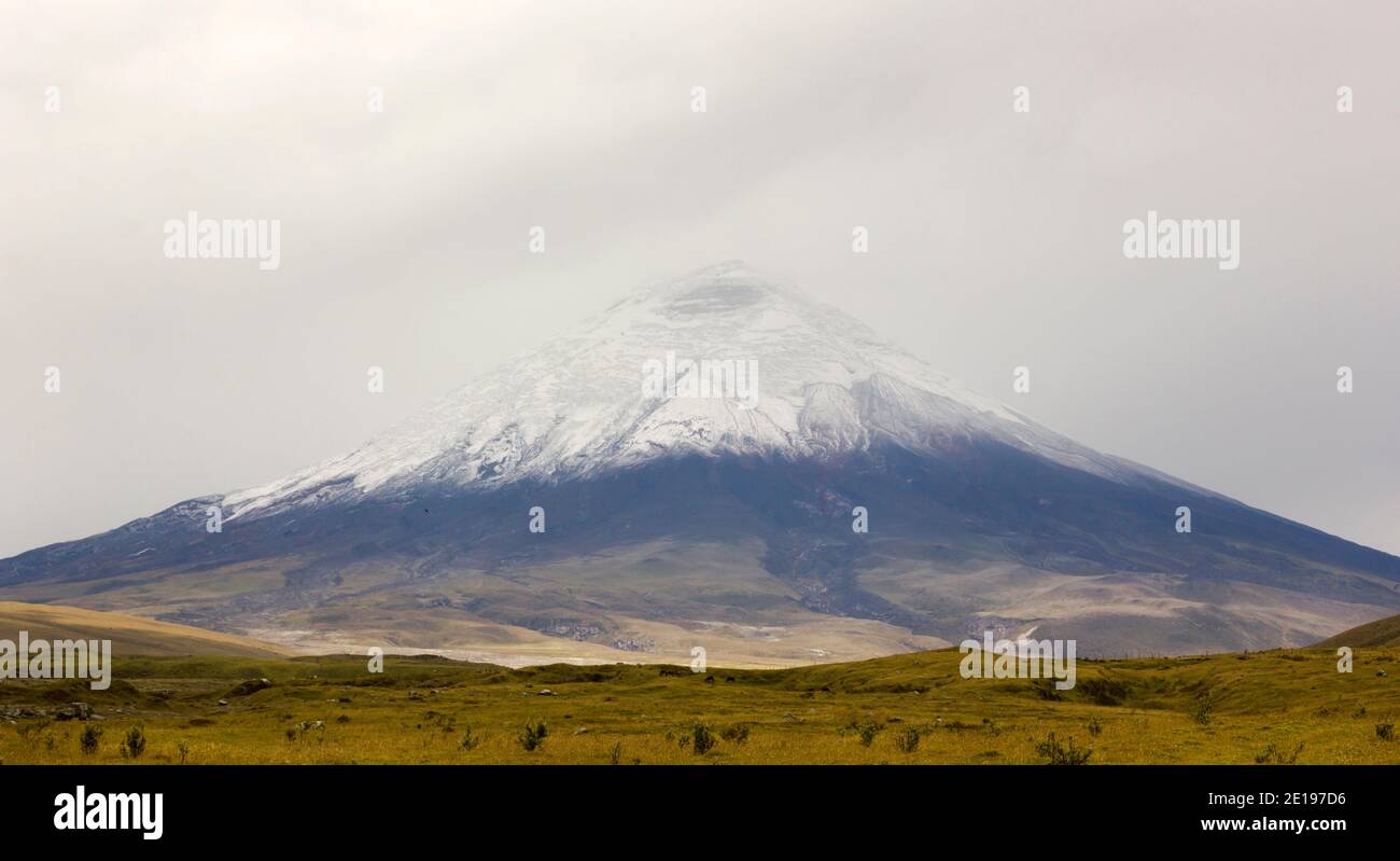 Cotopaxi Volcano, Ecuador after a fresh snowfall. Stock Photo