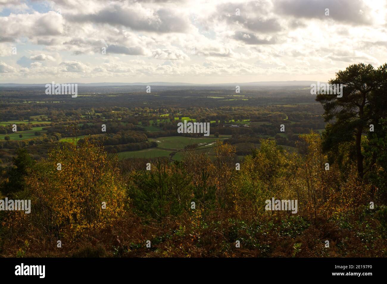 View of surrounding countryside from Leith Hill Tower, Near Dorking, Surrey, England Stock Photo